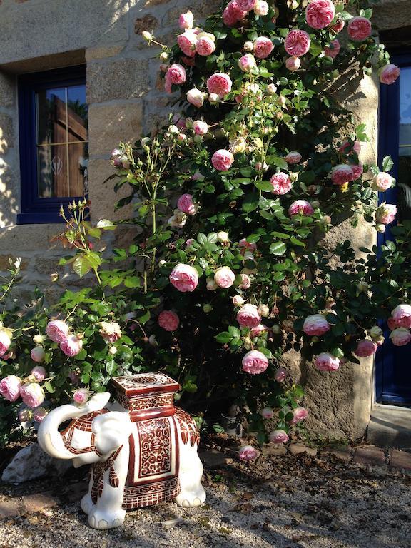Bed and Breakfast Le Domaine De Saint-Thomin Nostang Exterior foto